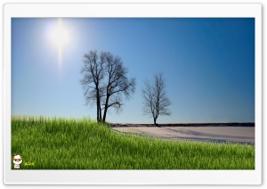 y859 4K UHD Wallpaper for Widescreen and UltraWide Desktop, UltraHD TV, Smartphone, Tablet