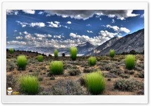 y876 4K UHD Wallpaper for Widescreen and UltraWide Desktop, UltraHD TV, Smartphone, Tablet