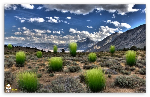 y876 UltraHD Wallpaper for Widescreen 16:10 ;