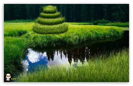 y890 UltraHD Wallpaper for Widescreen 16:10 ;