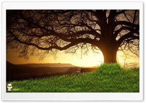 y891 4K UHD Wallpaper for Widescreen and UltraWide Desktop, UltraHD TV, Smartphone, Tablet
