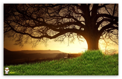y891 UltraHD Wallpaper for Widescreen 16:10 ;