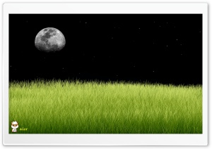 y892 4K UHD Wallpaper for Widescreen and UltraWide Desktop, UltraHD TV, Smartphone, Tablet