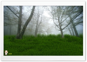 y907 4K UHD Wallpaper for Widescreen and UltraWide Desktop, UltraHD TV, Smartphone, Tablet