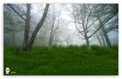 y907 UltraHD Wallpaper for Widescreen 16:10 ;