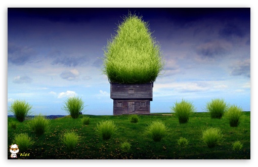 y909 UltraHD Wallpaper for Widescreen 16:10 ;