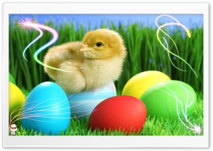 y940 4K UHD Wallpaper for Widescreen and UltraWide Desktop, UltraHD TV, Smartphone, Tablet