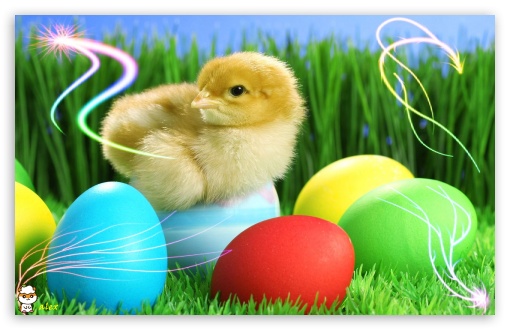 y940 UltraHD Wallpaper for Widescreen 16:10 ;