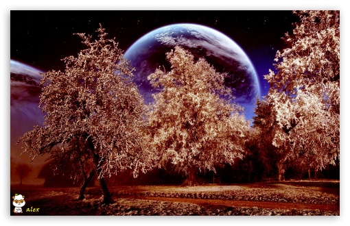 y974 UltraHD Wallpaper for Widescreen 16:10 ;