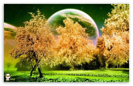 y977 UltraHD Wallpaper for Widescreen 16:10 ;