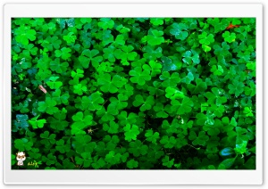 y980 4K UHD Wallpaper for Widescreen and UltraWide Desktop, UltraHD TV, Smartphone, Tablet