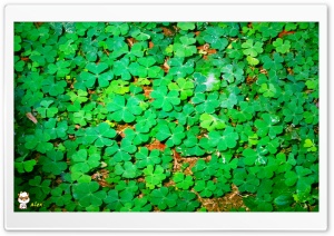 y982 4K UHD Wallpaper for Widescreen and UltraWide Desktop, UltraHD TV, Smartphone, Tablet