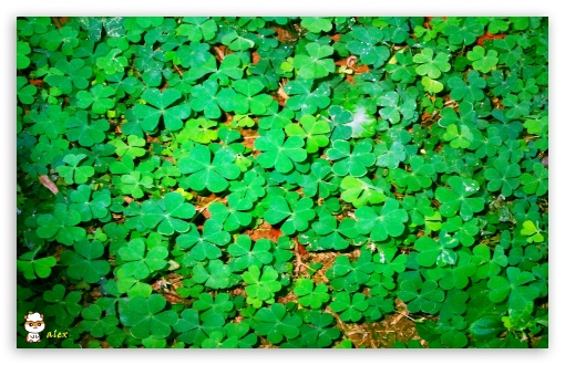 y982 UltraHD Wallpaper for Widescreen 16:10 ;