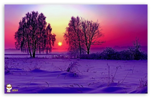 y990 UltraHD Wallpaper for Widescreen 16:10 ;