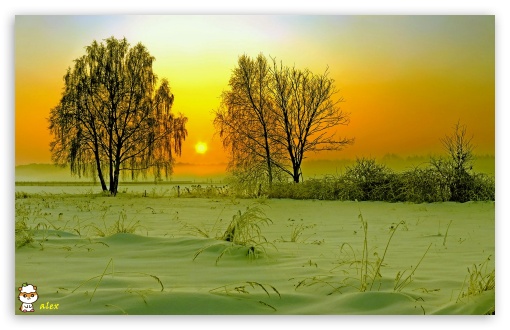 y991 UltraHD Wallpaper for Widescreen 16:10 ;