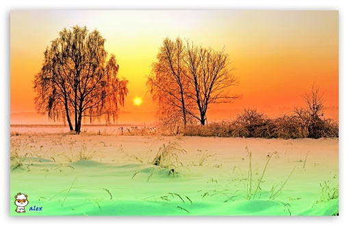 y994 UltraHD Wallpaper for Widescreen 16:10 ;