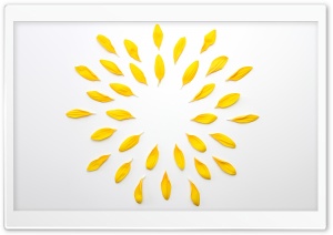 Yellow Corolla Petals Flower Ultra HD Wallpaper for 4K UHD Widescreen desktop, tablet & smartphone