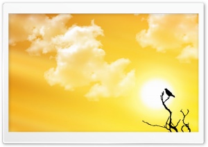 Yellow Day Ultra HD Wallpaper for 4K UHD Widescreen desktop, tablet & smartphone