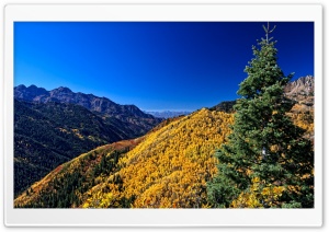Yellow Deciduous Mountain Forests Ultra HD Wallpaper for 4K UHD Widescreen desktop, tablet & smartphone
