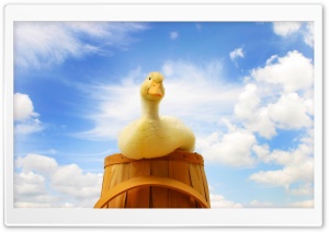Yellow Duck 4K UHD Wallpaper for Widescreen and UltraWide Desktop, UltraHD TV, Smartphone, Tablet
