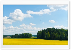 Yellow Fields Ultra HD Wallpaper for 4K UHD Widescreen desktop, tablet & smartphone