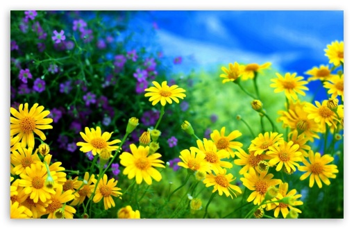 green and yellow flowers wallpaper