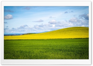 Yellow Hill Ultra HD Wallpaper for 4K UHD Widescreen desktop, tablet & smartphone