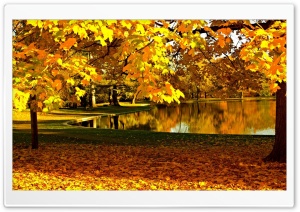 Yellow Leaves In Park Pond Autumn Ultra HD Wallpaper for 4K UHD Widescreen desktop, tablet & smartphone