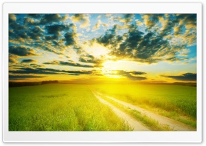 Yellow Sunshine Ultra HD Wallpaper for 4K UHD Widescreen desktop, tablet & smartphone