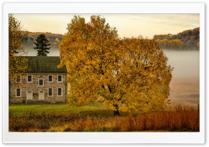 Yellow Tree, House, Mist, Autumn Ultra HD Wallpaper for 4K UHD Widescreen desktop, tablet & smartphone