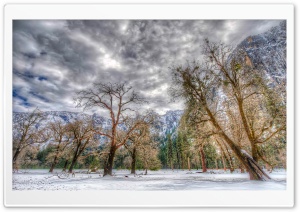 Yosemite Mountains Trees In The Winter Ultra HD Wallpaper for 4K UHD Widescreen Desktop, Lockscreen, Screensaver, TV, Tablet, Smartphone