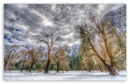 Yosemite Mountains Trees In The Winter UltraHD Wallpaper for Widescreen 16:10 ;