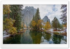 Yosemite National Park   Yellow Trees Ultra HD Wallpaper for 4K UHD Widescreen desktop, tablet & smartphone
