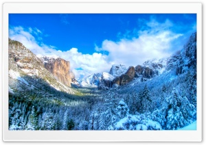 Yosemite Snow Valley Ultra HD Wallpaper for 4K UHD Widescreen desktop, tablet & smartphone