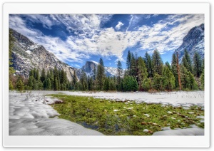 Yosemite Spring Grass Ultra HD Wallpaper for 4K UHD Widescreen desktop, tablet & smartphone