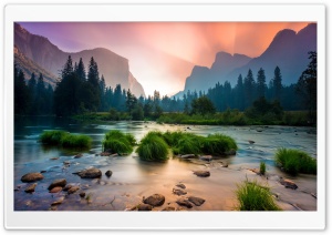Yosemite Valley, Clumps Of Grass, Flowing Water, Pine Trees, Wilderness 4K UHD Wallpaper for Widescreen and UltraWide Desktop, UltraHD TV, Smartphone, Tablet