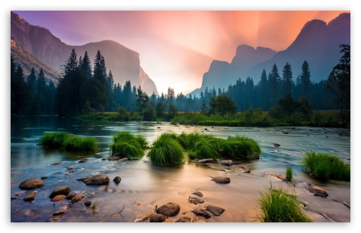 Yosemite Valley, Clumps Of Grass, Flowing Water, Pine Trees, Wilderness UltraHD Wallpaper for UHD 16:9 ; HD 16:9 ; UltraWide 21:9 24:10 ; Widescreen 16:10 5:3 ; Fullscreen 4:3 5:4 3:2 ; Tablet 1:1 ;