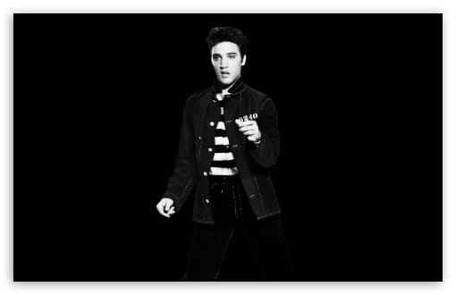 Young Elvis Presley Portrait   Black Background UltraHD Wallpaper for UHD 16:9 ; HD 16:9 ; UltraWide 21:9 24:10 32:9 32:10 ; Widescreen 16:10 ; Tablet 1:1 ; Mobile 9:16 9:19.5 9:20 ; Dual 16:10 16:9 ;