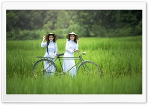 Young Women in a White Ao Dai Ultra HD Wallpaper for 4K UHD Widescreen desktop, tablet & smartphone