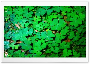 yy983 4K UHD Wallpaper for Widescreen and UltraWide Desktop, UltraHD TV, Smartphone, Tablet