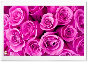 z013 4K UHD Wallpaper for Widescreen and UltraWide Desktop, UltraHD TV, Smartphone, Tablet