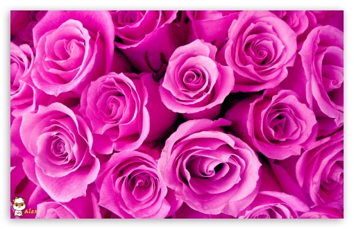z013 UltraHD Wallpaper for Widescreen 16:10 ;