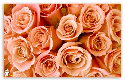 z014 UltraHD Wallpaper for Widescreen 16:10 ;