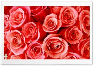 z015 4K UHD Wallpaper for Widescreen and UltraWide Desktop, UltraHD TV, Smartphone, Tablet