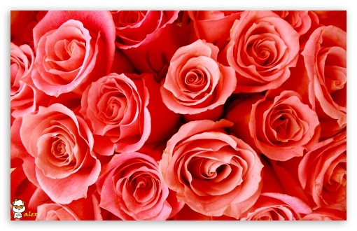 z015 UltraHD Wallpaper for Widescreen 16:10 ;