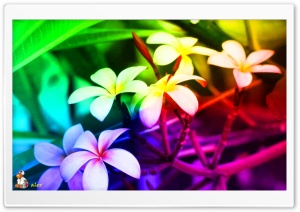 z022 4K UHD Wallpaper for Widescreen and UltraWide Desktop, UltraHD TV, Smartphone, Tablet