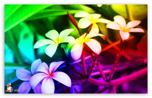 z022 UltraHD Wallpaper for Widescreen 16:10 ;