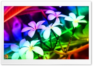 z023 4K UHD Wallpaper for Widescreen and UltraWide Desktop, UltraHD TV, Smartphone, Tablet