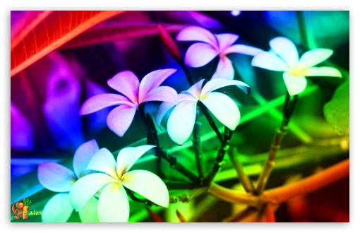 z023 UltraHD Wallpaper for Widescreen 16:10 ;