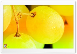 z024 4K UHD Wallpaper for Widescreen and UltraWide Desktop, UltraHD TV, Smartphone, Tablet